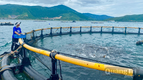 Nuôi trồng thủy sản biển