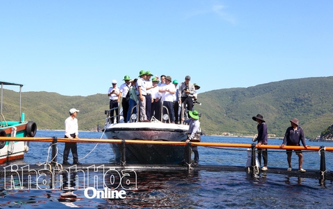 Tập trung thực hiện Đề án thí điểm phát triển nuôi biển công nghệ cao