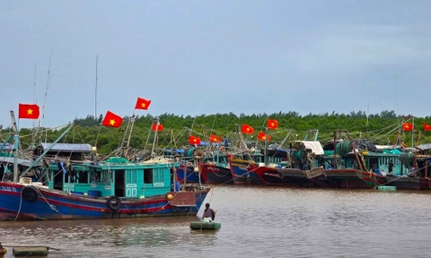 Hải Phòng hướng đến nghề cá minh bạch, trách nhiệm và bền vững