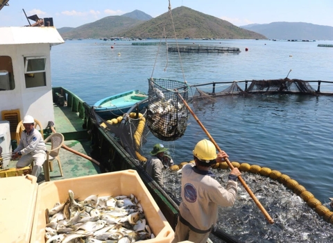 Đòn bẩy kinh tế biển và nông nghiệp công nghệ cao của Khánh Hòa