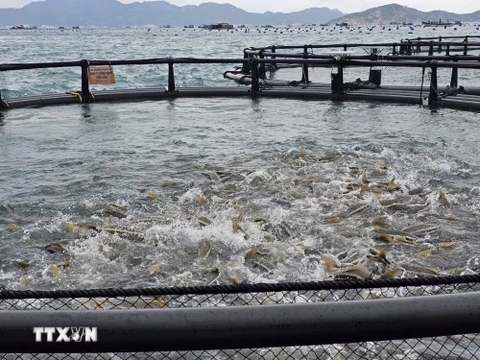 Khánh Hòa phát huy lợi thế kinh tế biển