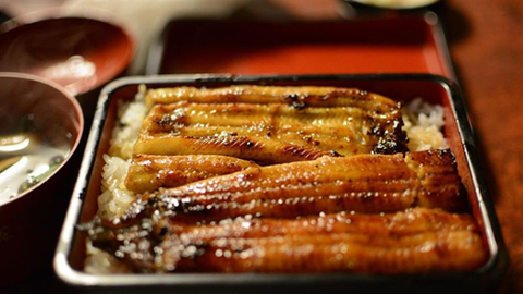 Không phải cá hồi hay cá thu, đây mới là loại cá quen thuộc giúp ngừa sa sút trí tuệ, bảo vệ tim mạch: Ăn 1 miếng bổ ngang 2 viên dầu cá