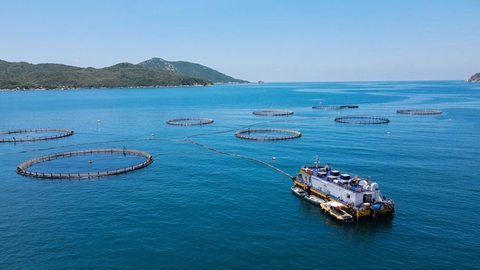 Nuôi biển: Hiện trạng, lợi thế và thách thức
