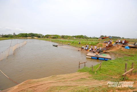 Kinh tế tuần hoàn nâng tầm giá trị cá tra