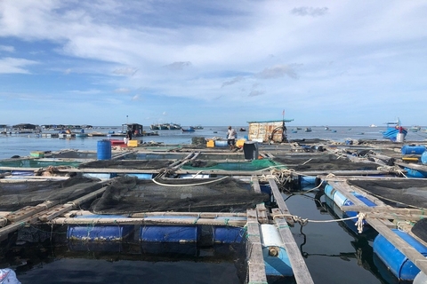 Lâm Đồng xây dựng hệ sinh thái nuôi biển theo định hướng kinh tế xanh, công nghệ cao
