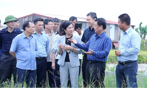 Nếu chỉ khai thác làm thực phẩm, chúng ta đang lãng phí giá trị nông sản