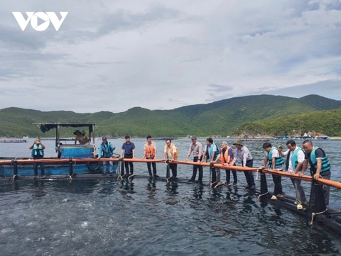 Khánh Hòa mở hướng nuôi biển, phát triển nghề cá bền vững