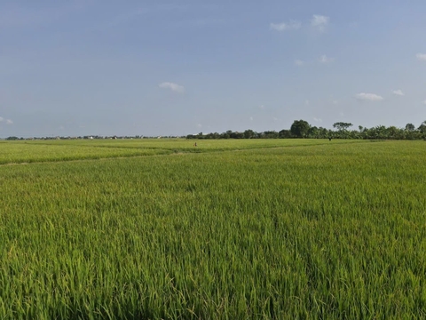 Thủy sản đang là điểm sáng của nông nghiệp Ninh Bình