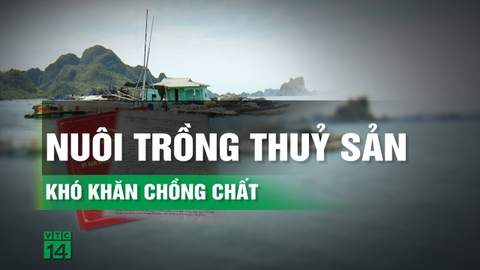 Sổ mặt nước: Tài sản đảm bảo để vực dậy nghề nuôi trồng thủy sản