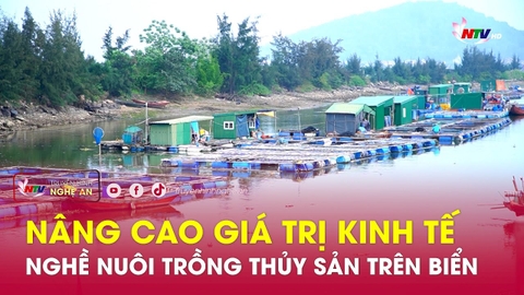 Nâng cao giá trị kinh tế nghề nuôi trồng thủy sản trên biển