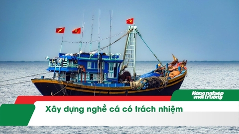 Xây dựng nghề cá có trách nhiệm