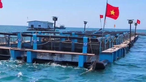 Chúc mừng Hội viên Công ty Mực nhảy Biển Đông dưới sự lãnh đạo mẫn tiệp và tinh thần liên tục tiến công của anh Nguyễn Bá Ngọc vừa đạt thành tựu mới!