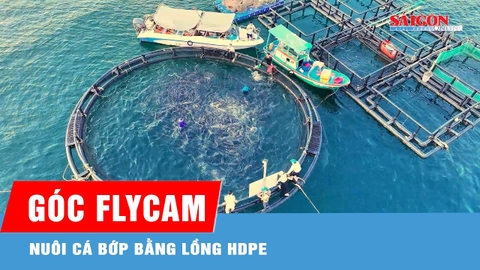 Vươn khơi nuôi biển bằng lồng HDPE