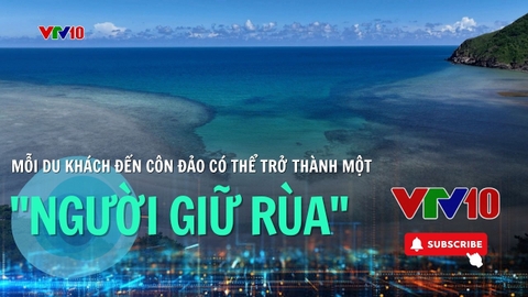Muốn xem rùa đẻ trứng? Trước tiên hãy học cách bảo vệ chúng!
