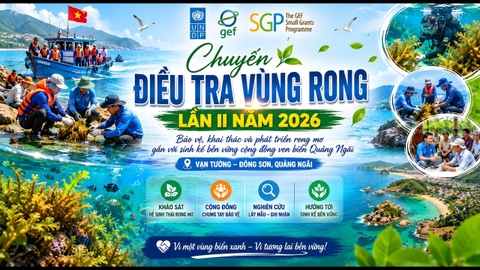 ĐIỀU TRA VÙNG RONG LẦN II NĂM 2026