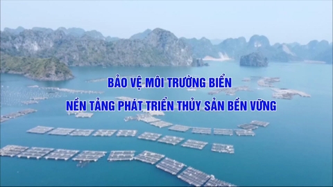 Bảo vệ môi trường biển - Nền tảng phát triển thủy sản bền vững
