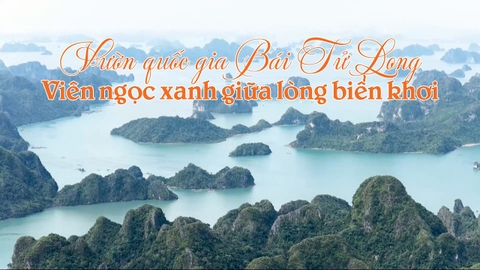 Vườn quốc gia Bái Tử Long: Viên ngọc xanh giữa lòng biển khơi