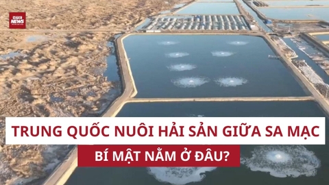 KỲ TÍCH từ sa mạc thành 