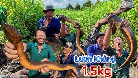 Kỷ Lục Mới - Chinh Phục Cụ Lươn Hơn 1.5kg