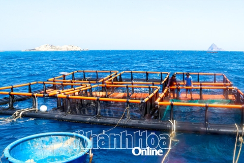Tiên phong nuôi biển xa bờ