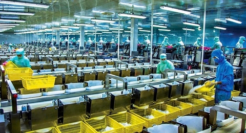 Biến áp lực môi trường thành cơ hội tăng lợi nhuận thủy sản