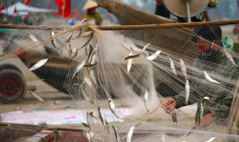 Mùa biển bội thu, ngư dân thêm động lực bám ngư trường