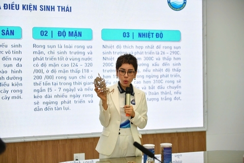 Người nuôi biển Vân Đồn làm lớn, xây chuỗi liên kết rong - hàu 5 sao