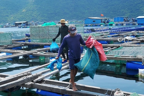 Thúc đẩy phát triển kinh tế biển: Môi trường, hệ sinh thái biển phải được 