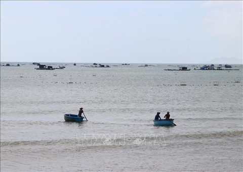 Khánh Hòa quy hoạch vùng nuôi biển công nghiệp