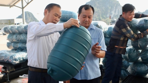 Nuôi biển bị 'xóa sổ' sau bão Yagi, bà con làm gì để khôi phục?