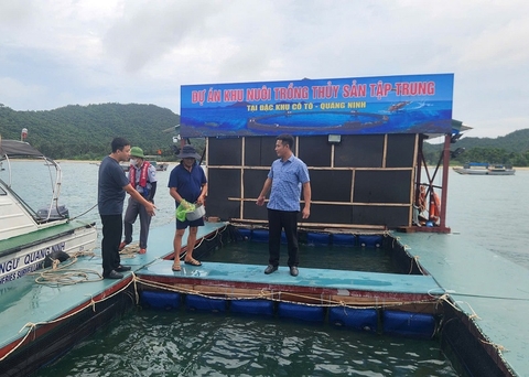 Quảng Ninh mở đường cho công nghiệp nuôi biển vươn ra vùng khơi