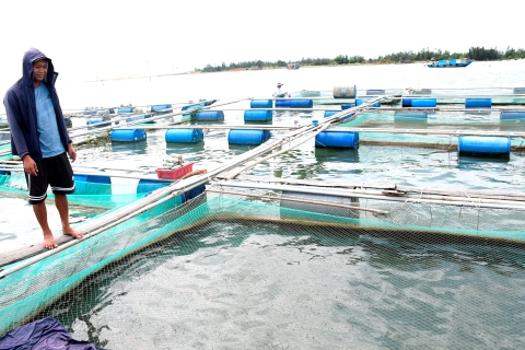 Kỳ vọng mới cho nghề nuôi biển