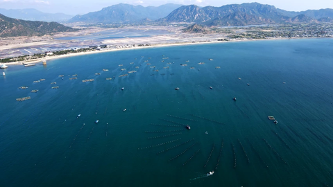 Ninh Thuận quy hoạch 2.000 ha mặt nước để nuôi biển công nghệ cao