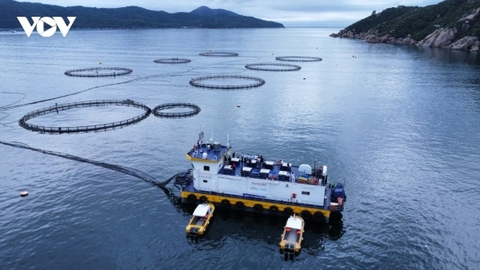 Việt Nam - Hàn Quốc phát triển thủy sản bền vững