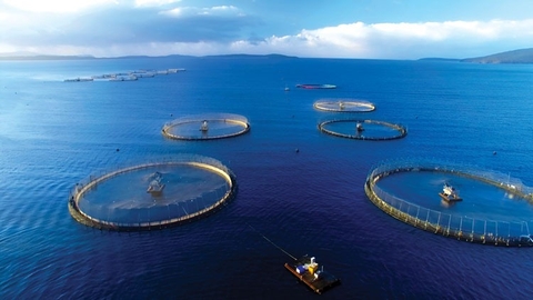 Nuôi biển công nghệ cao, thời cơ nào cho kinh tế tư nhân