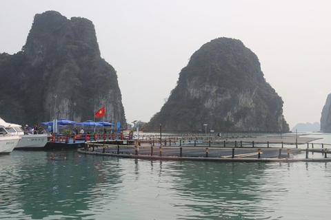 Thủy sản Việt Nam bứt phá từ nuôi biển công nghệ cao