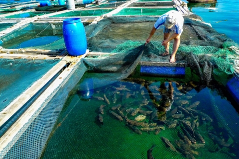 Lợi ích “kép” từ nuôi thủy sản kết hợp du lịch