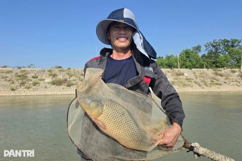 Nuôi cá lồng trên sông Lam, vợ chồng nông dân thu 