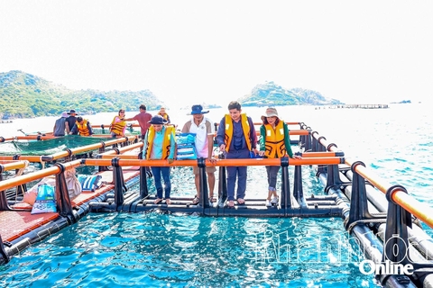 Ra biển Khánh Hòa thấy dân nuôi cá to bự trong cái lồng khổng lồ, 10 người xem cả 10 người trầm trồ