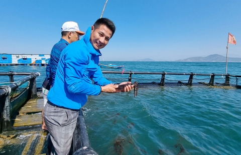 Anh Nguyễn Bá Ngọc đang hoàn thiện các lồng nuôi biển mới! Xin chúc mừng anh Ngọc và Mực nhảy Biển Đông