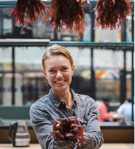 Nuôi rong biển trên cạn: Làn sóng mới từ Normandy