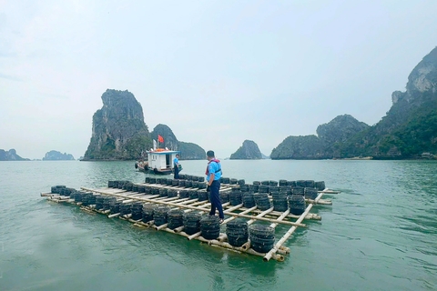 Xử lý 16 vụ nuôi trồng trái phép trên vịnh Hạ Long