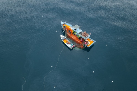 Năm 2025 kinh tế biển chuyển mình vượt lên nguồn lợi suy giảm