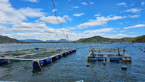 Đẩy nhanh tiến độ giao mặt nước nuôi biển