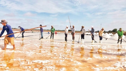 Khát vọng làm giàu, đi lên từ biển