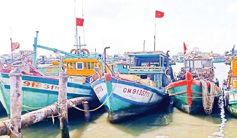 Đẩy mạnh phát triển kinh tế biển