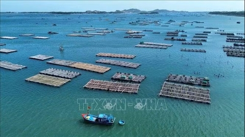 Giảm rủi ro nuôi trồng thủy sản trước tác động từ El Nino