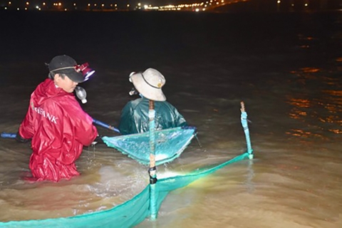 Ngâm mình gần cửa biển thâu đêm săn cá chình giống