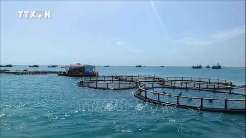Ưu tiên nâng tầm cho dự báo biển