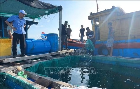 Đa dạng đối tượng nuôi, tăng chống chịu cho kinh tế biển